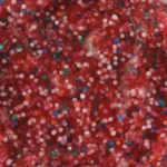Bs005
